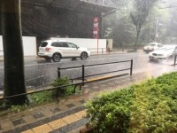 吉祥寺のヘッドスパサロンL’TLYL（リトリル）のBlog〜初歌舞伎！！〜