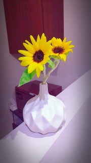 写真 2017-08-21 0 51 44