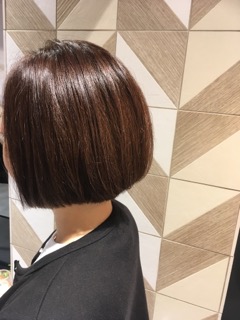 写真 2017-11-15 7 34 34