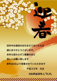 吉祥寺のヘッドスパサロンL’TLYL（リトリル）のBlog〜明けましておめでとうございます〜
