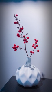 写真 2018-01-01 20 44 40